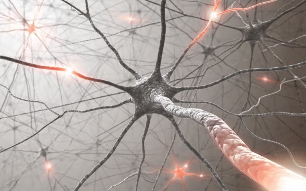 Raffigurazione astratta di neuroni