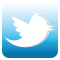 vai alla pagina twitter