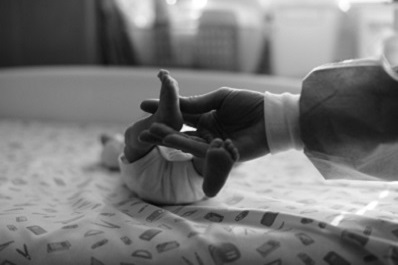 neonato